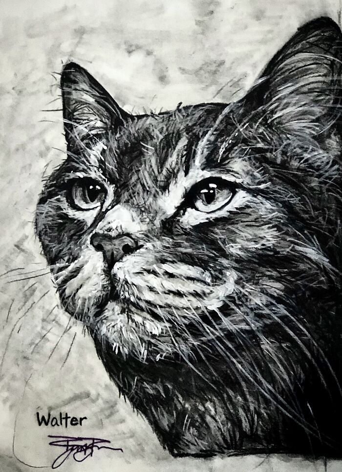 Walter The Mischievous Floof