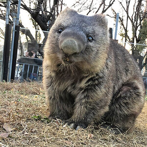 55309e6d24b79 avatar