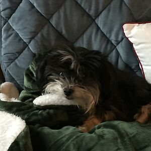 odonnellandco avatar