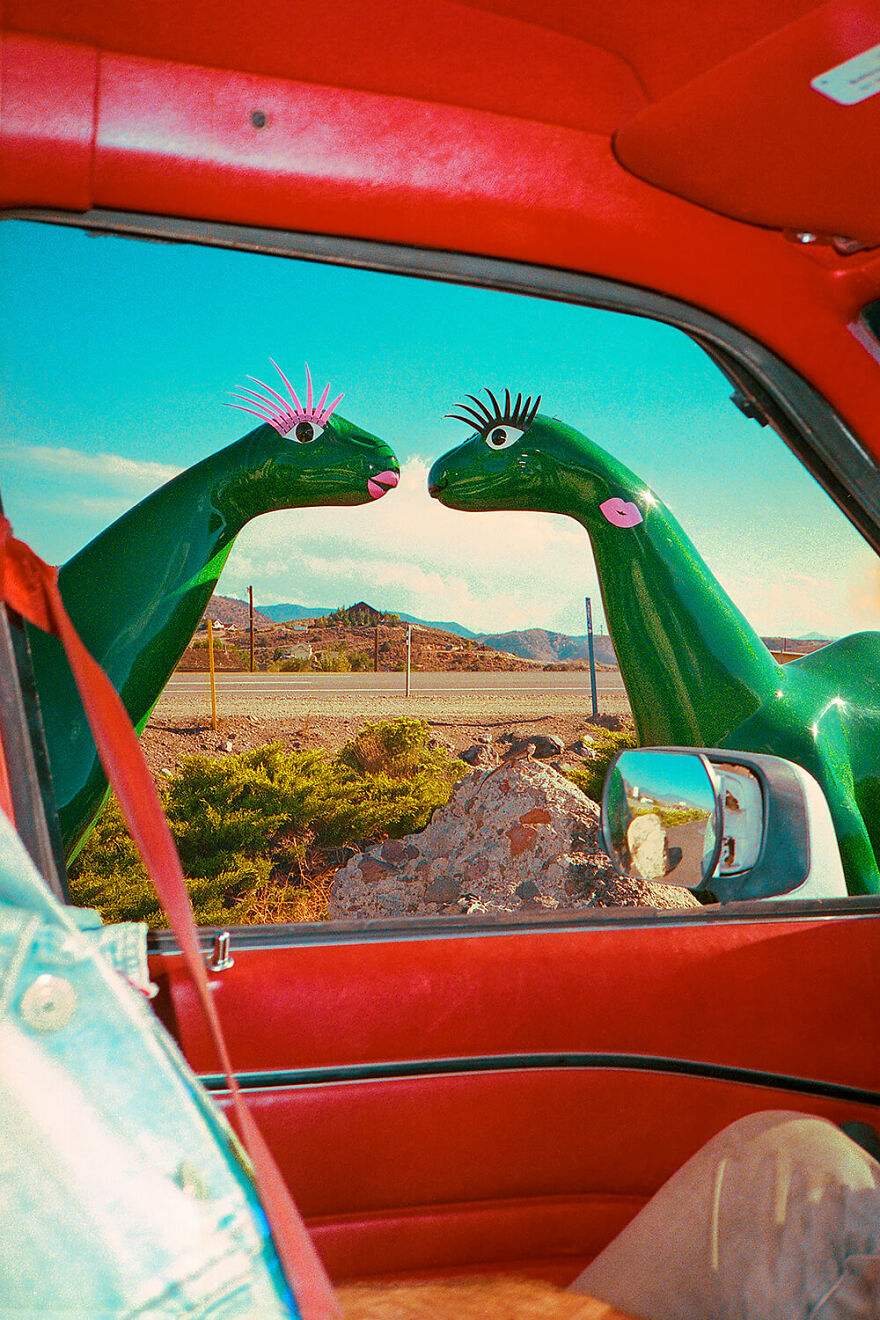 A Sinclair Story (Lizard On Rock) © Deb Leal