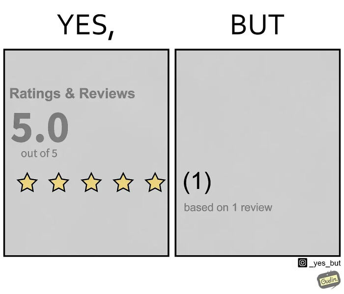 Sarcastic comic showing a funny contradiction between a perfect 5-star rating and only one review count.