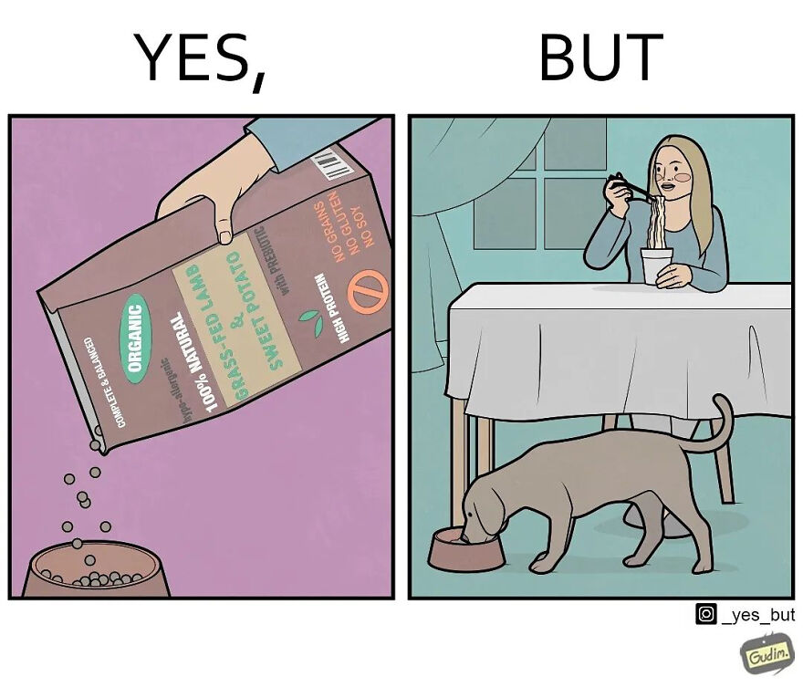 Artist Criticizes Our Society By Showing Two Different Sides Of The Same Story (26 New Comics)