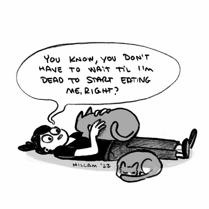 Artist Illustrates Daily Struggles And Life With Cats And A Kid In These New Comics