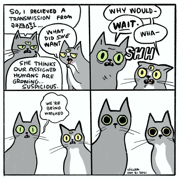 Artist Illustrates Daily Struggles And Life With Cats And A Kid In These New Comics