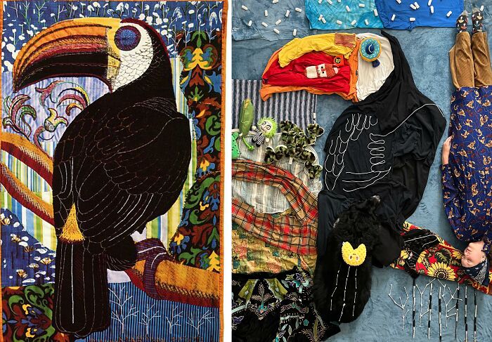 Toucan, 1972 By Martha Mood vs. Toucan, 2022