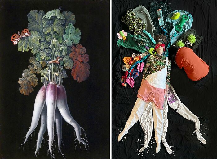 Radishes, S.d. By Barbara Regina Dietzch vs. Radishes, 2022