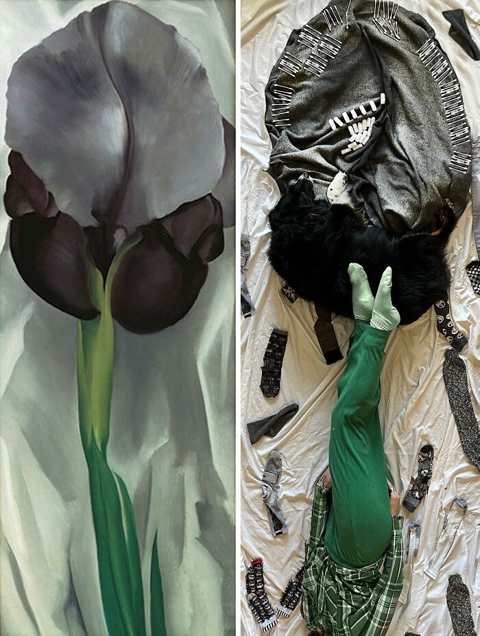 Iris. No. 1, 1927 By Georgia O’keeffe vs. Iris. No. 1, 2022
