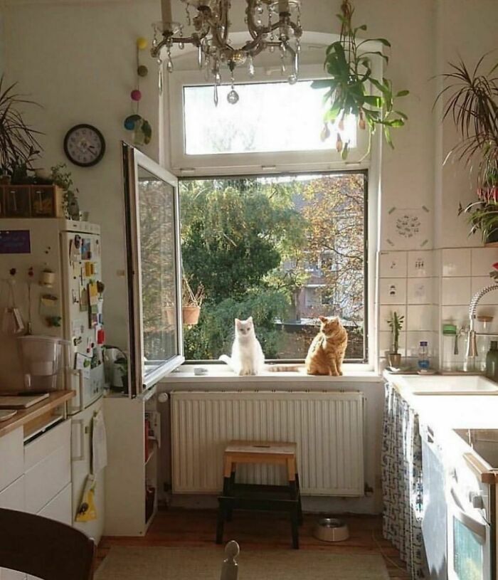 Somewhere-I-Would-Like-To-Live-Places-Design-Pics