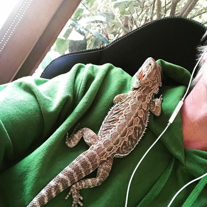 My Coworker Today Is Quiet And Still, But Doesn’t Understand Social Distancing