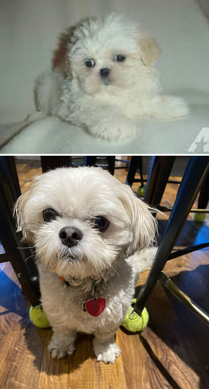 When We Got Him In 2018 vs. 2022