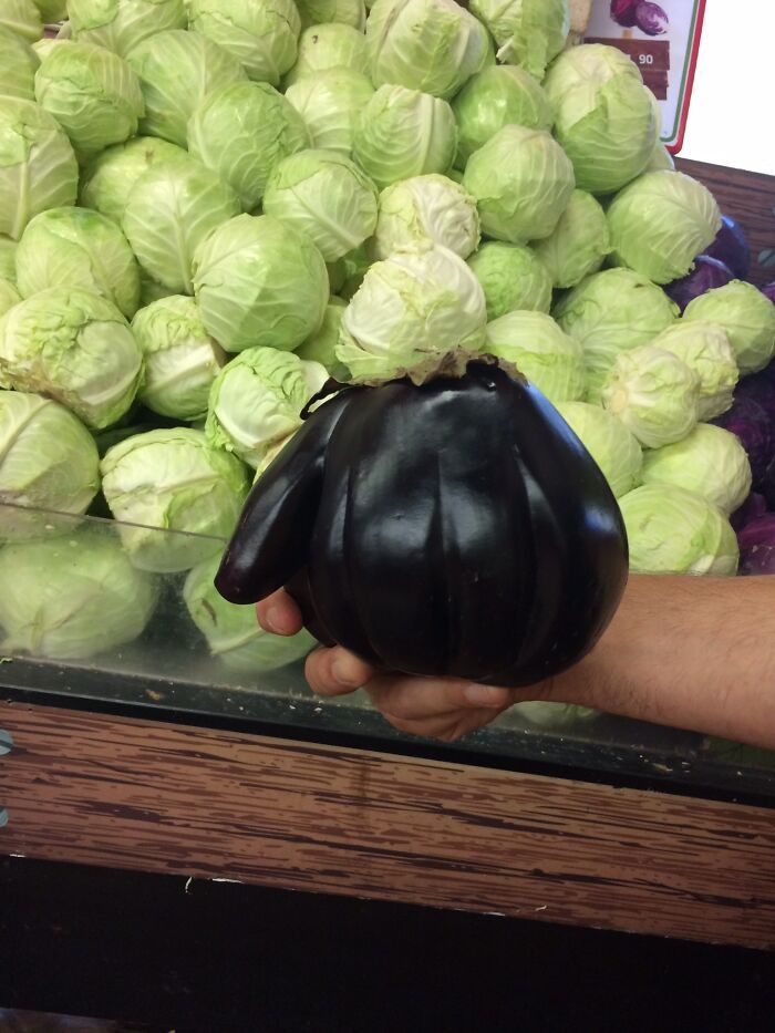 Not Fails, Just Peculiar Vegetables