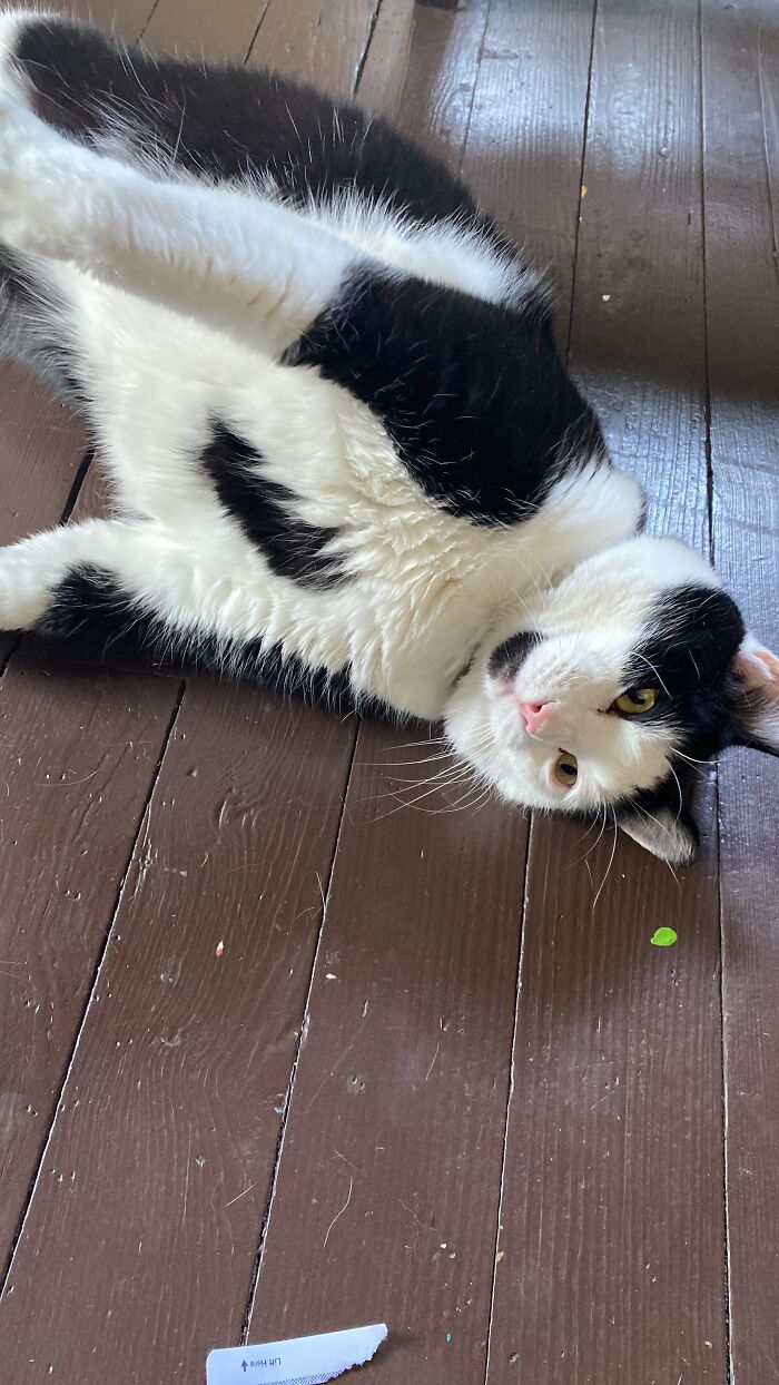 Bootsy Chilling In The Sun