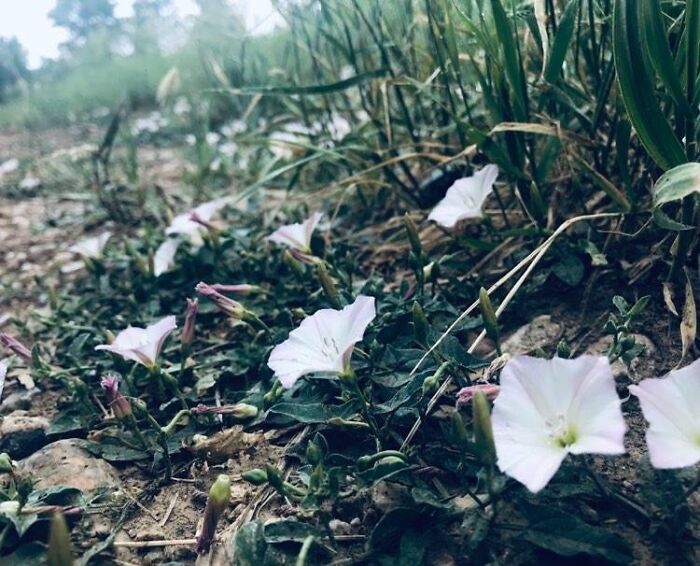 Taken In South Dakota!