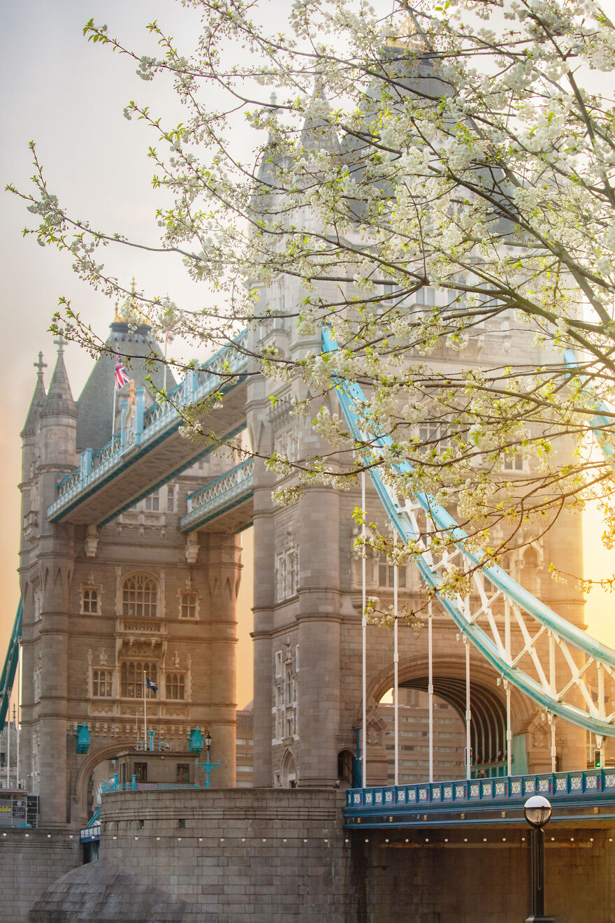 23 Reasons Why You Should Visit London During Spring