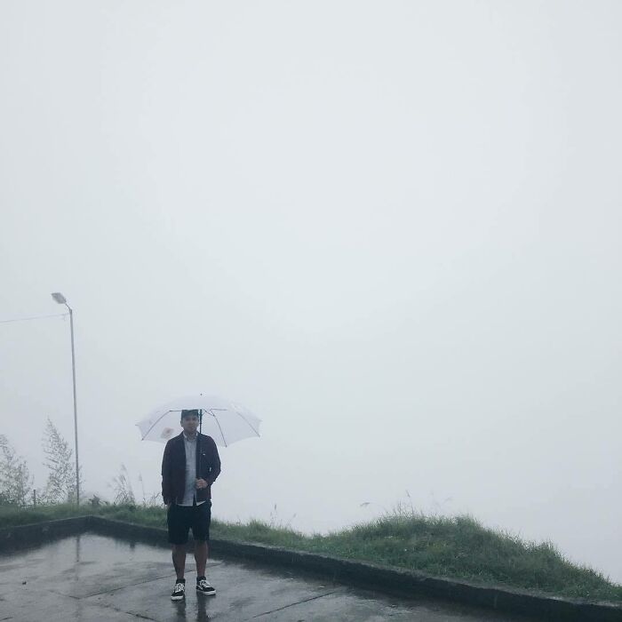 Insert View Back There