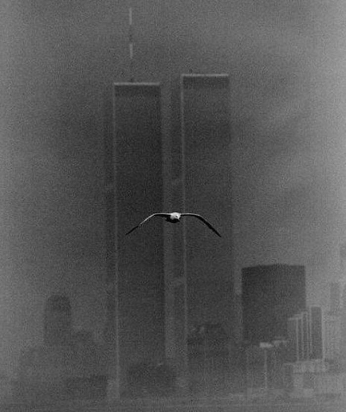 Beautiful Photo Of The Twin Towers In 1979