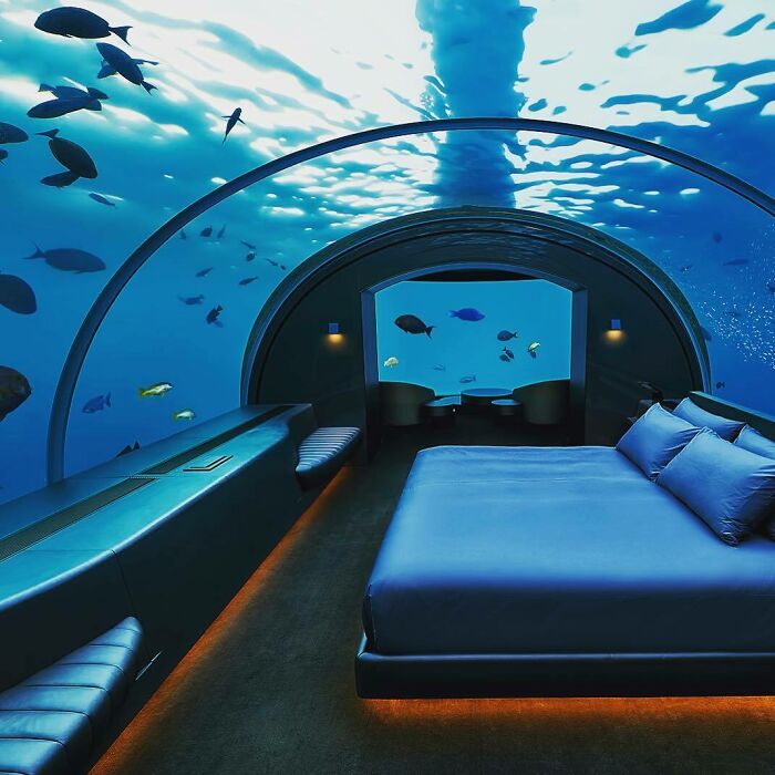 New Photo From Our Project