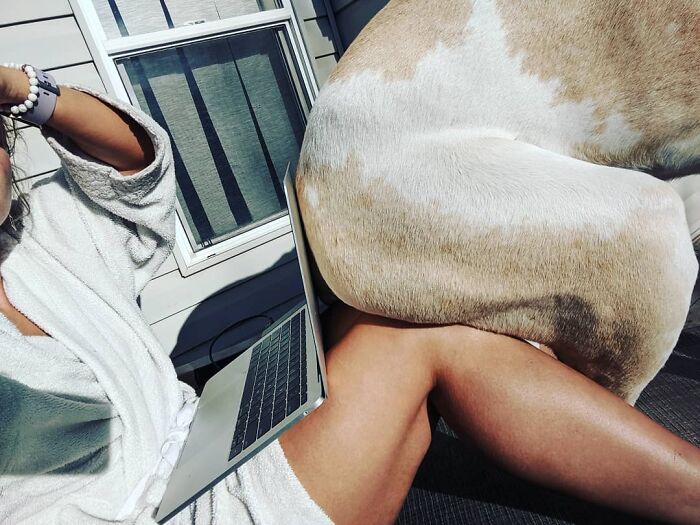 Decided To Work Outside In The Sun, And This Is How He Sits