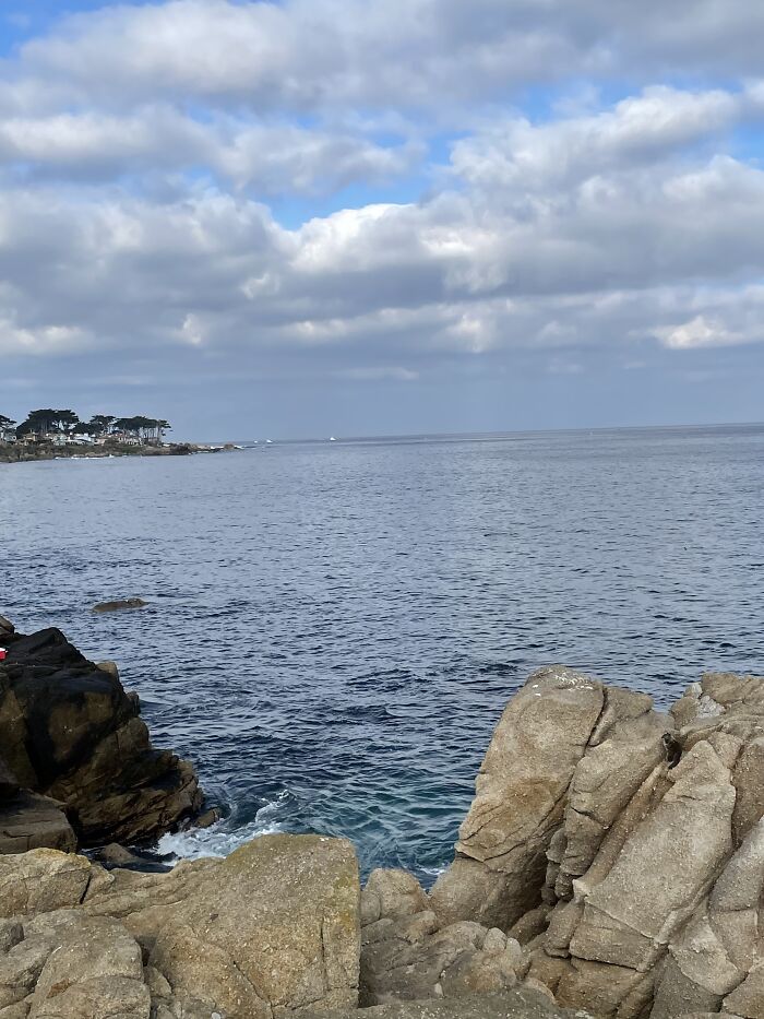 New Pictures That I Took (37 Pics)