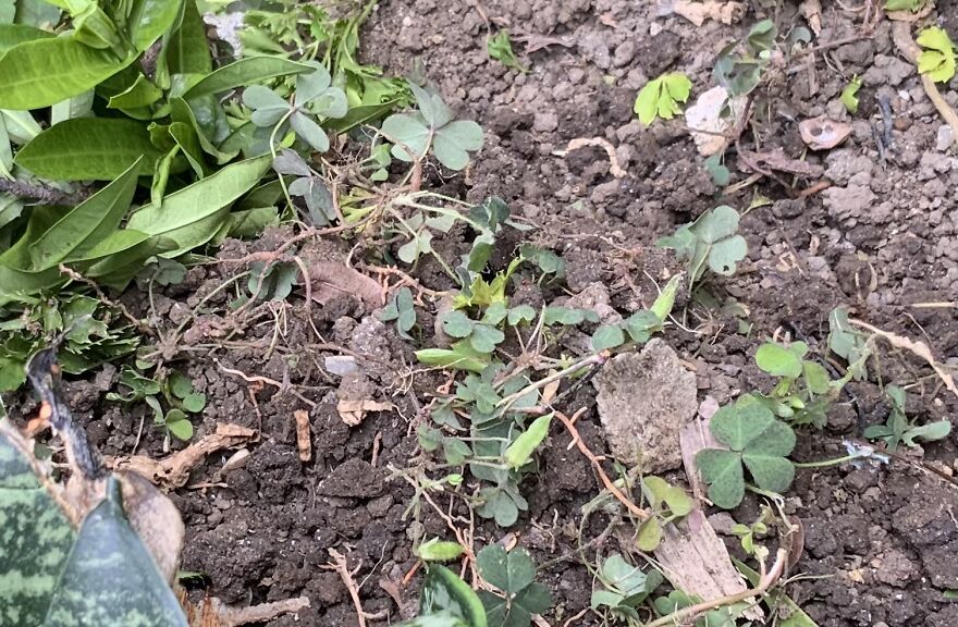 Rest In Peace, Wales.