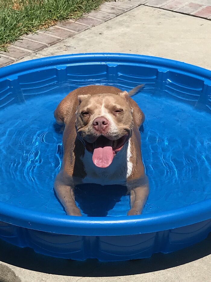 Buffy Taking A Dip In Her Pool