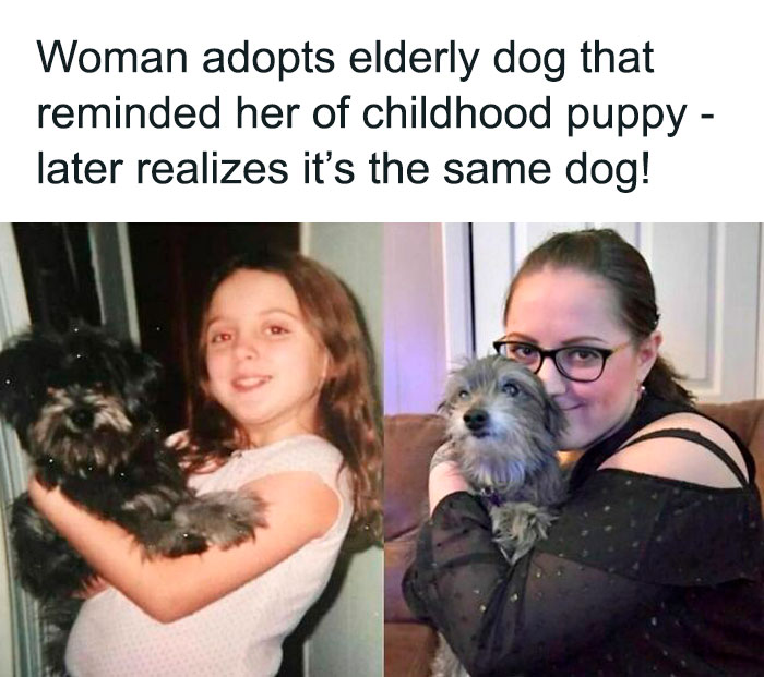 Unexpected-Wholesome-Situations