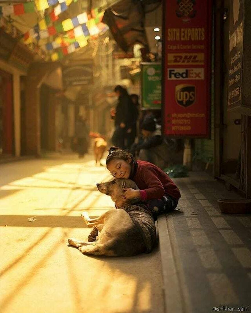 Here Are 62 Powerful Animal Images From Instagram "The Decisive Moments Magazine"