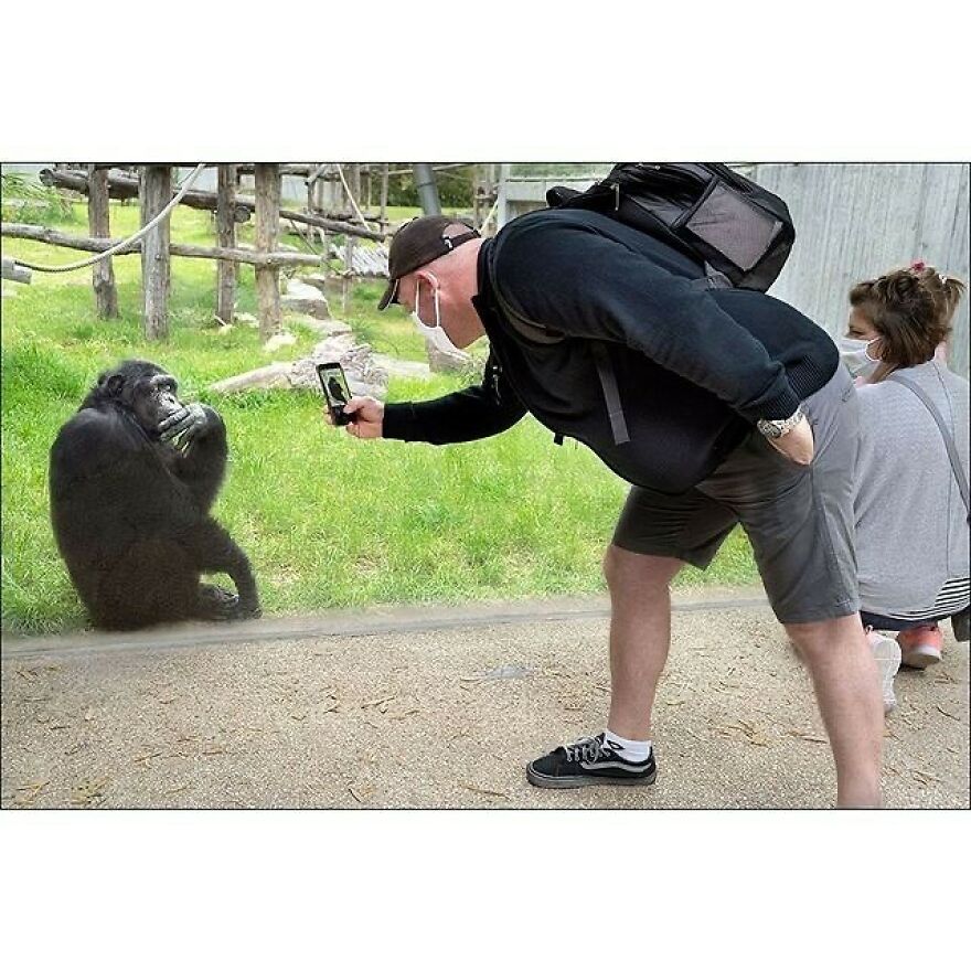 Here Are 62 Powerful Animal Images From Instagram "The Decisive Moments Magazine"