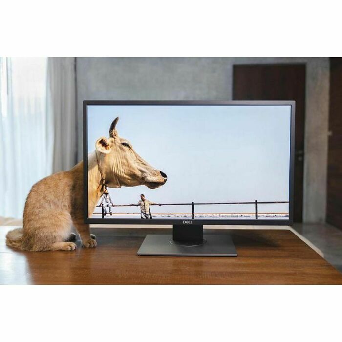 Here Are The 30 Most Jaw-Dropping Animal Photos, As Shared By "The Decisive Moments Magazine"