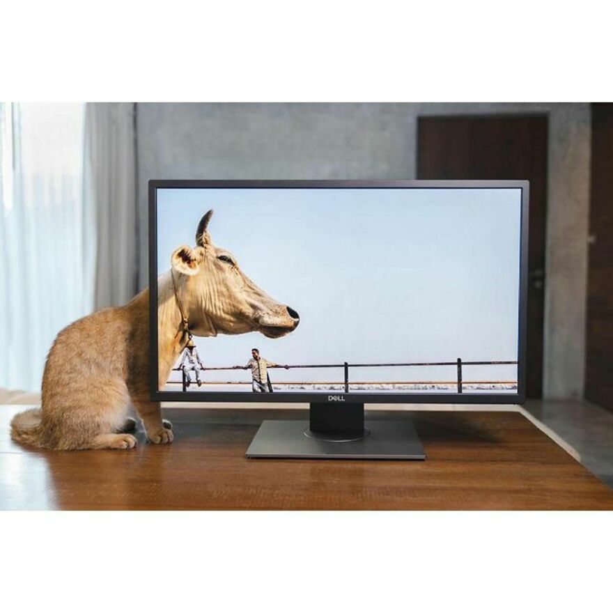 Here Are 62 Powerful Animal Images From Instagram "The Decisive Moments Magazine"