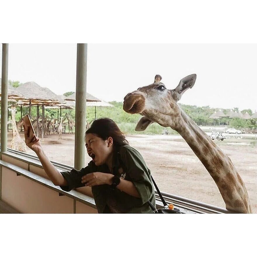 Here Are 62 Powerful Animal Images From Instagram "The Decisive Moments Magazine"