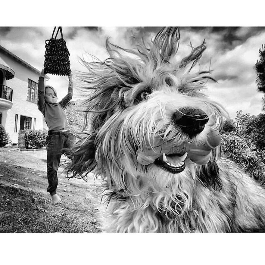 Here Are 62 Powerful Animal Images From Instagram "The Decisive Moments Magazine"