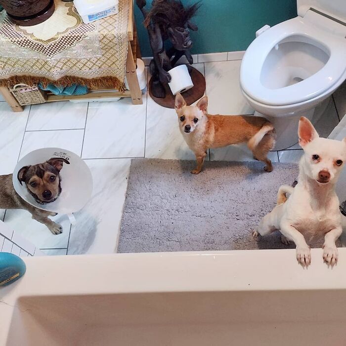 Have A Nice Shower Mom