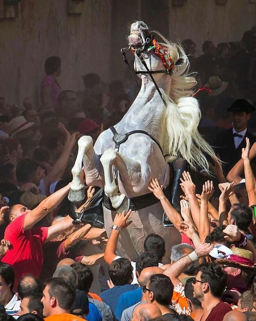 Here Are 62 Powerful Animal Images From Instagram "The Decisive Moments Magazine"