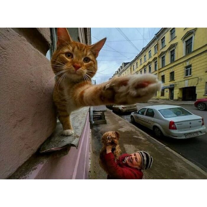 Here Are The 30 Most Jaw-Dropping Animal Photos, As Shared By "The Decisive Moments Magazine"