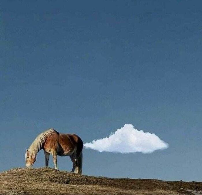 Here Are The 30 Most Jaw-Dropping Animal Photos, As Shared By "The Decisive Moments Magazine"