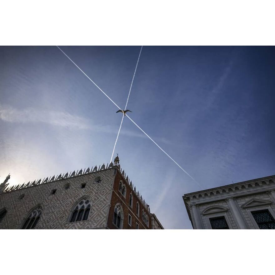 Here Are 62 Powerful Animal Images From Instagram "The Decisive Moments Magazine"