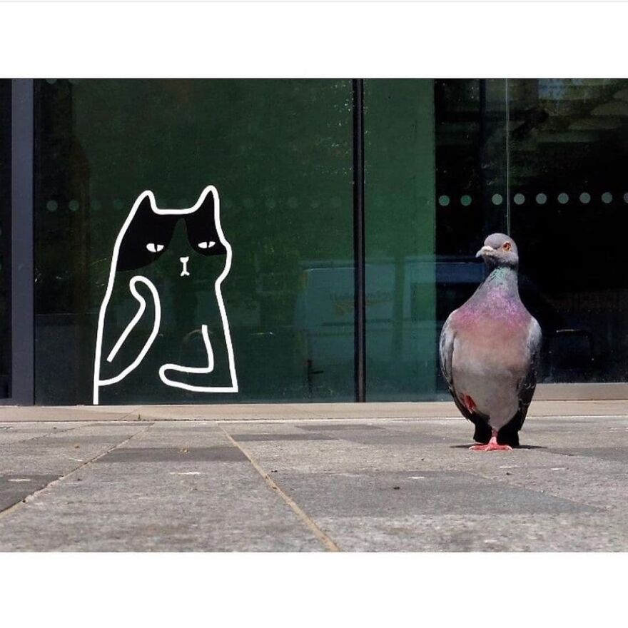 Here Are 62 Powerful Animal Images From Instagram "The Decisive Moments Magazine"