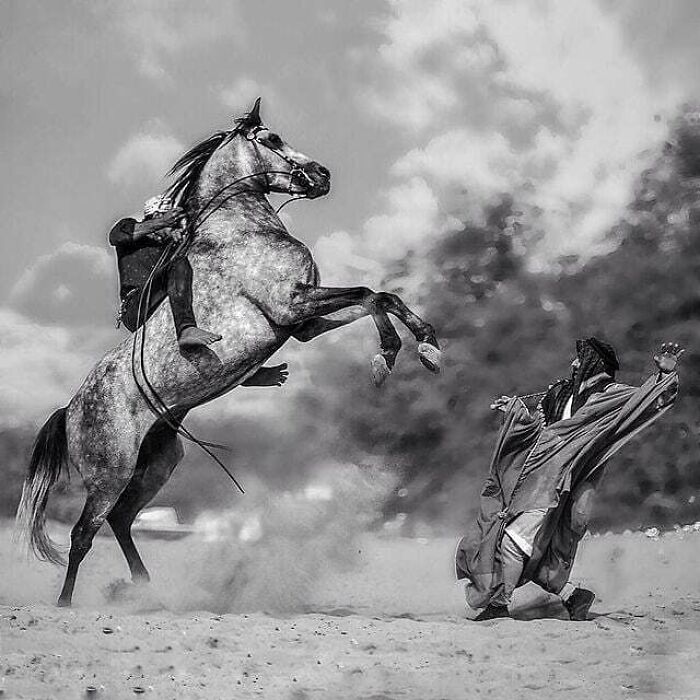 Here Are The 30 Most Jaw-Dropping Animal Photos, As Shared By "The Decisive Moments Magazine"