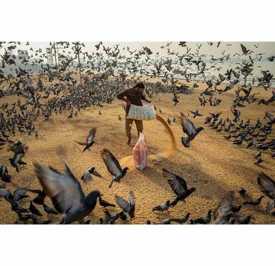 Here Are 62 Powerful Animal Images From Instagram "The Decisive Moments Magazine"