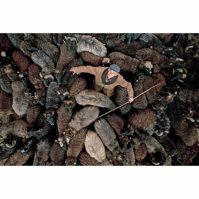 Here Are The 30 Most Jaw-Dropping Animal Photos, As Shared By "The Decisive Moments Magazine"