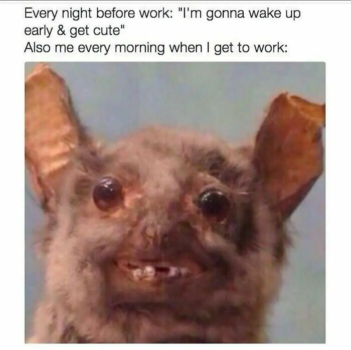 Follow Me @employeeup If You Hate Working 💼
.
.
.
.
.
.
.
.
.
.
#workmemes #workmeme #officememes #officememe #theofficememes #humanresources #theofficememesfunny #jobmemes #9to5life #9to5 #9to5grind #workfromhome #workfromhomelife #workmemes #workmeme #worksucks #workmemes #workmeme #workhumor #workproblems #workprobs #officehumor #officework #officelife #jobmemes #leaveworkearly #ihatemyjob #workaholics #workingmeme #jobmeme