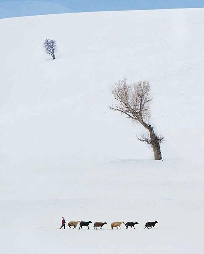 Here Are The 30 Most Jaw-Dropping Animal Photos, As Shared By "The Decisive Moments Magazine"