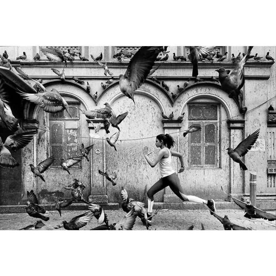 Here Are 62 Powerful Animal Images From Instagram "The Decisive Moments Magazine"