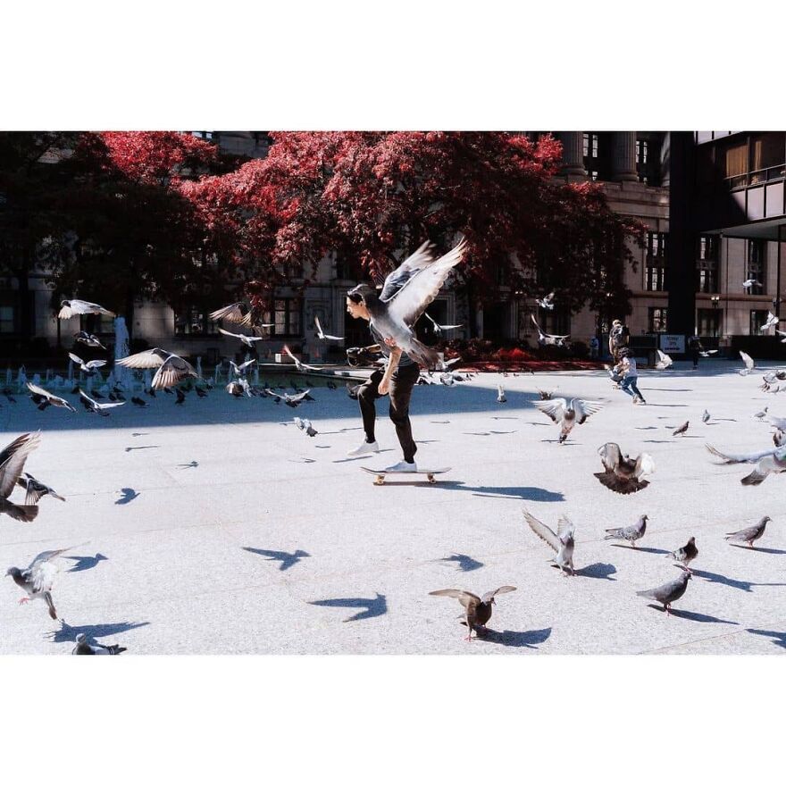 Here Are 62 Powerful Animal Images From Instagram "The Decisive Moments Magazine"