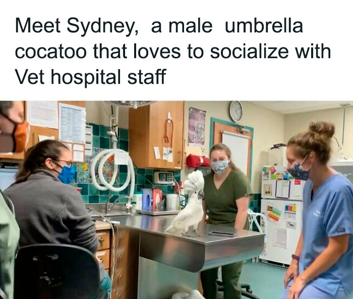 Unexpected-Wholesome-Situations