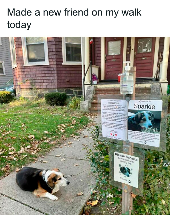 Unexpected-Wholesome-Situations