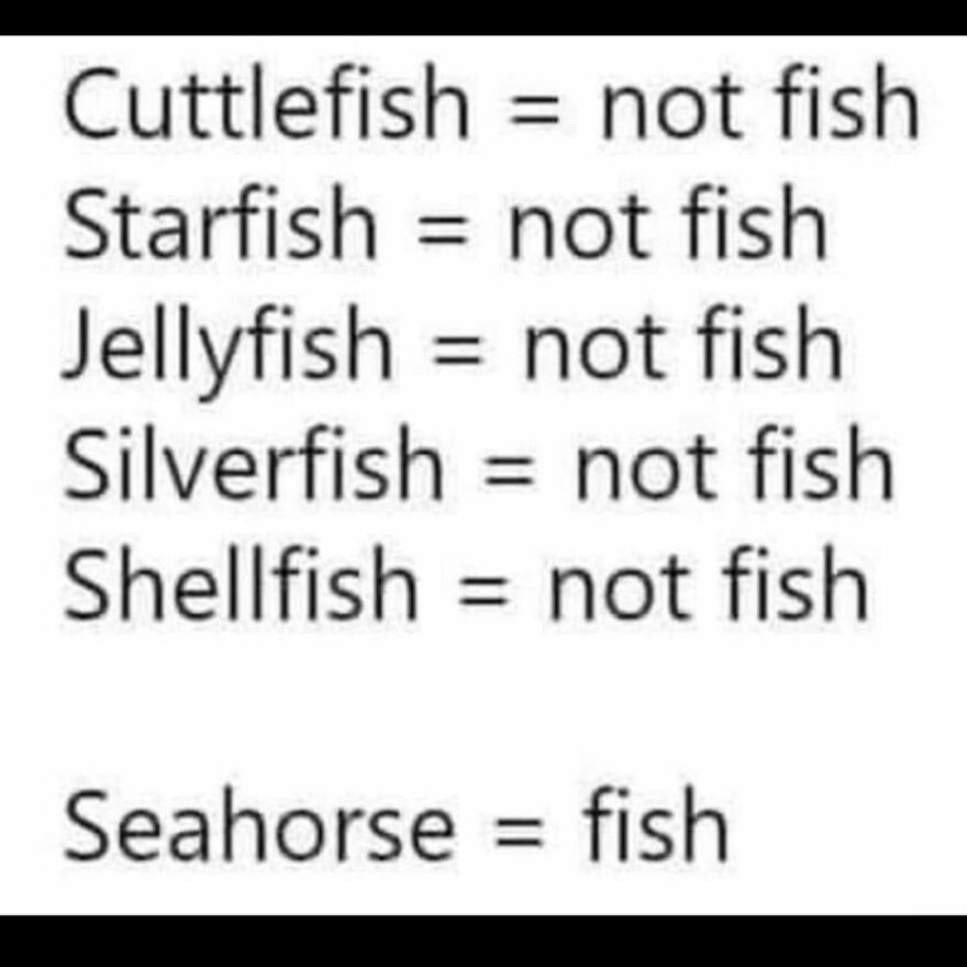 Something seems fishy to me Something seems fishy to me