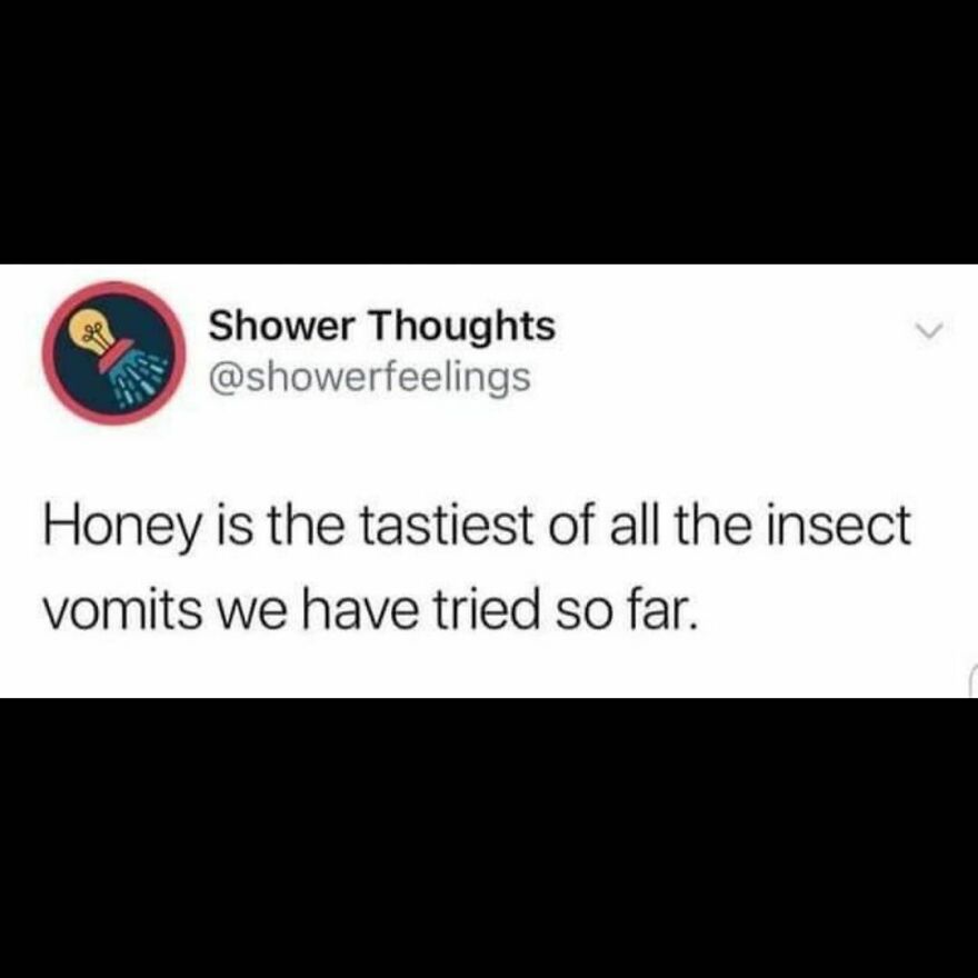 Do you part for science-
Try some animal.... Vomit