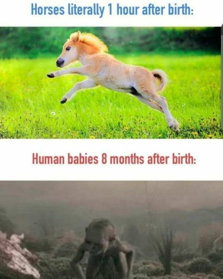 They grow up so fast They grow up so fast
